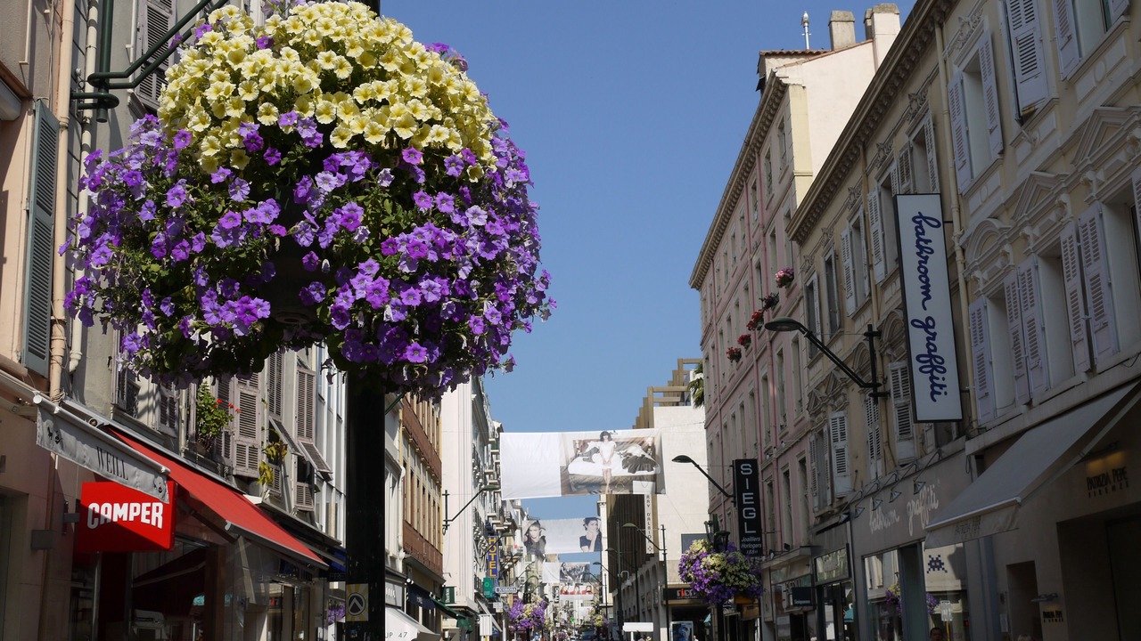 Photo of Others in Le Suquet