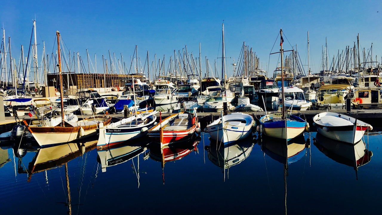 Photo of Others in Le Suquet
