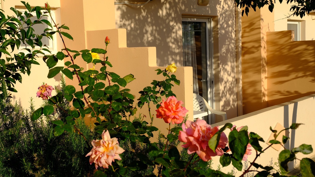 Photo of Outdoor in Misiria