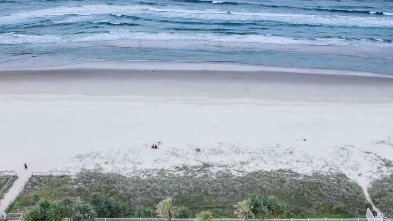 Photo of Others in Palm Beach