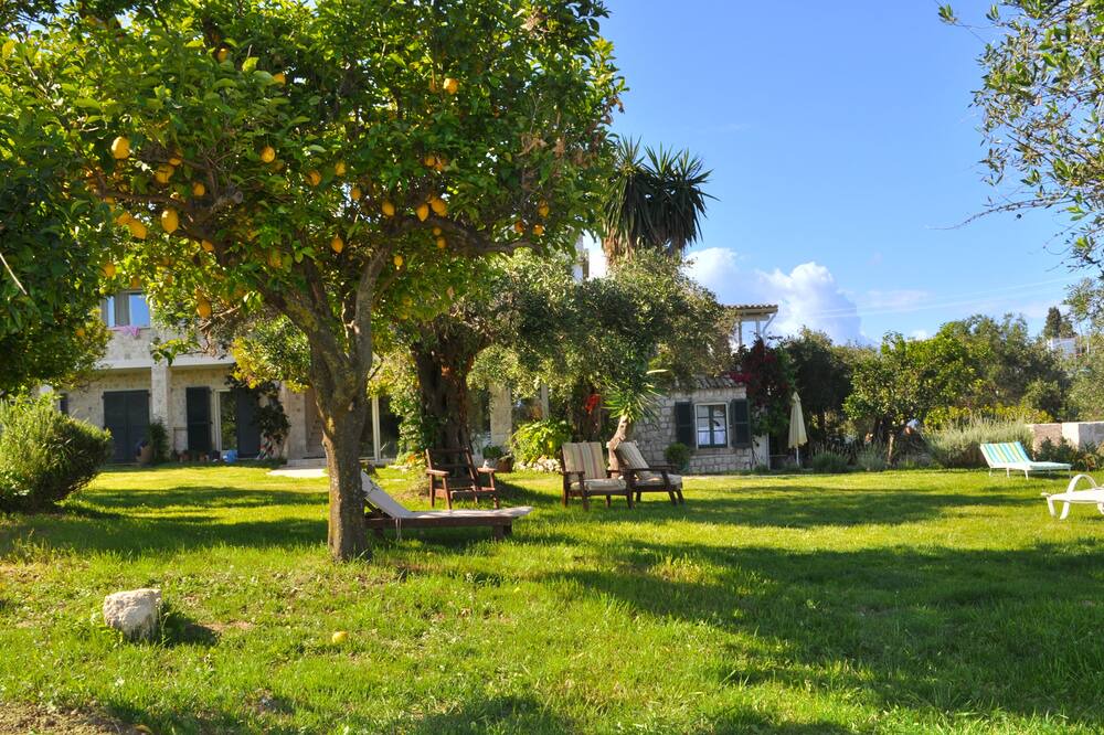 Photo of Outdoor in Pelekas