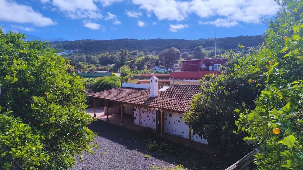 Photo of Others in El Tanque
