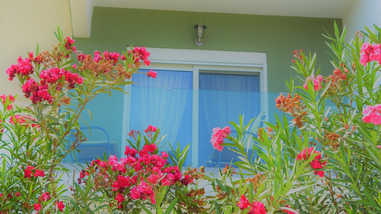 Photo of Outdoor in Faliraki