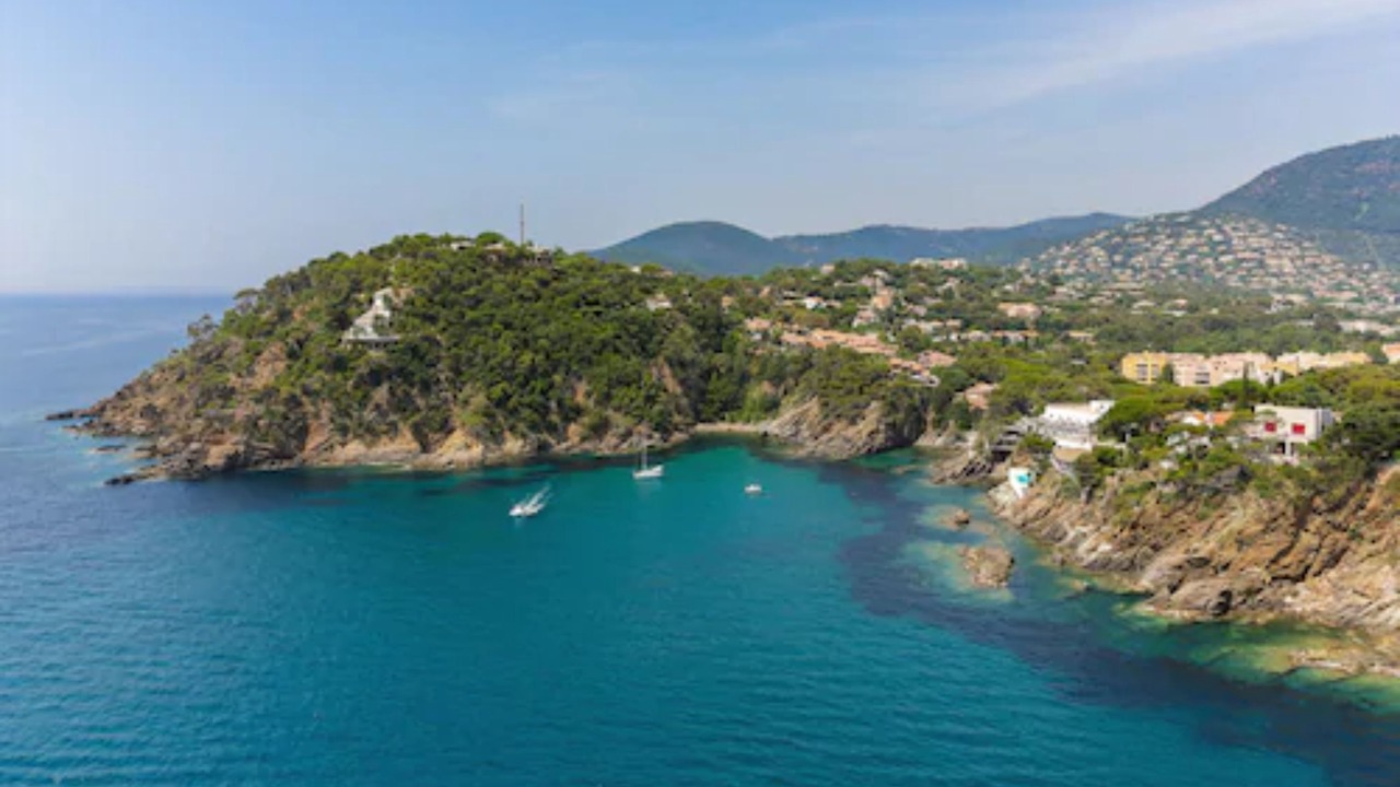Photo of Others in Cavaliere