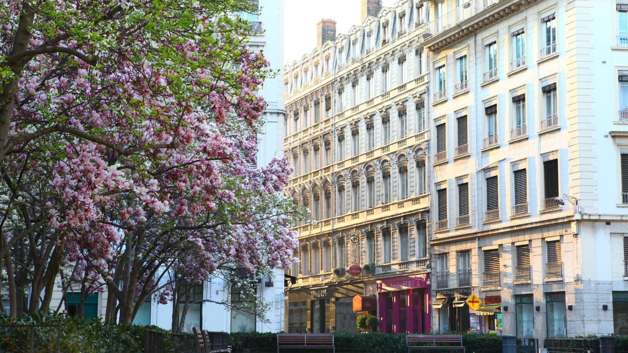 Photo of Outdoor in Bellecour - Hotel Dieu