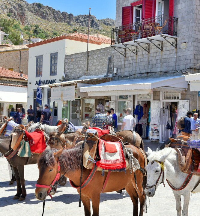Photo of Outdoor in idhra