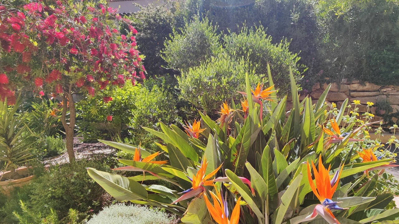 Photo of Outdoor in Saint-Cyr-sur-Mer