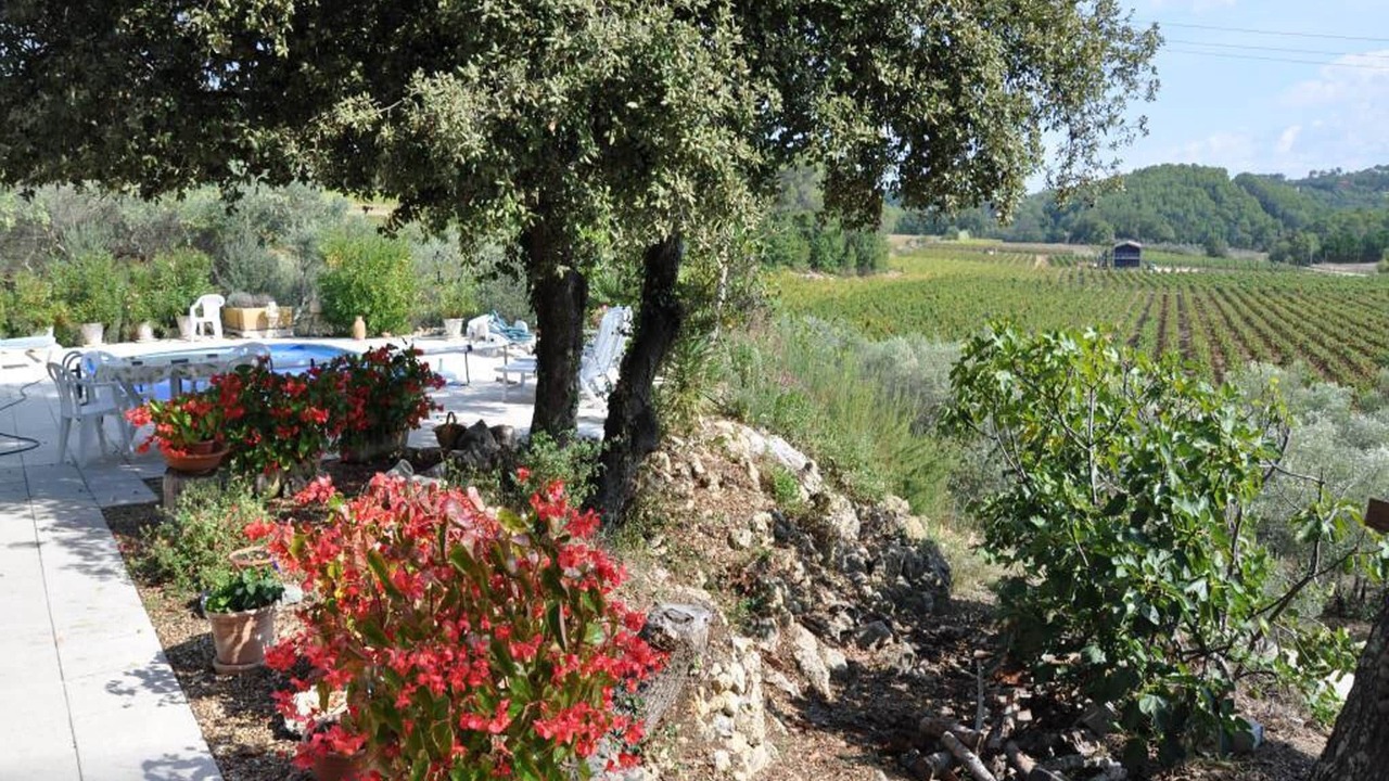 Photo of Outdoor in La Caravane