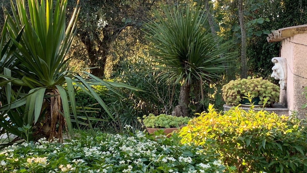Photo of Outdoor in Saint-Paul-en-Foret
