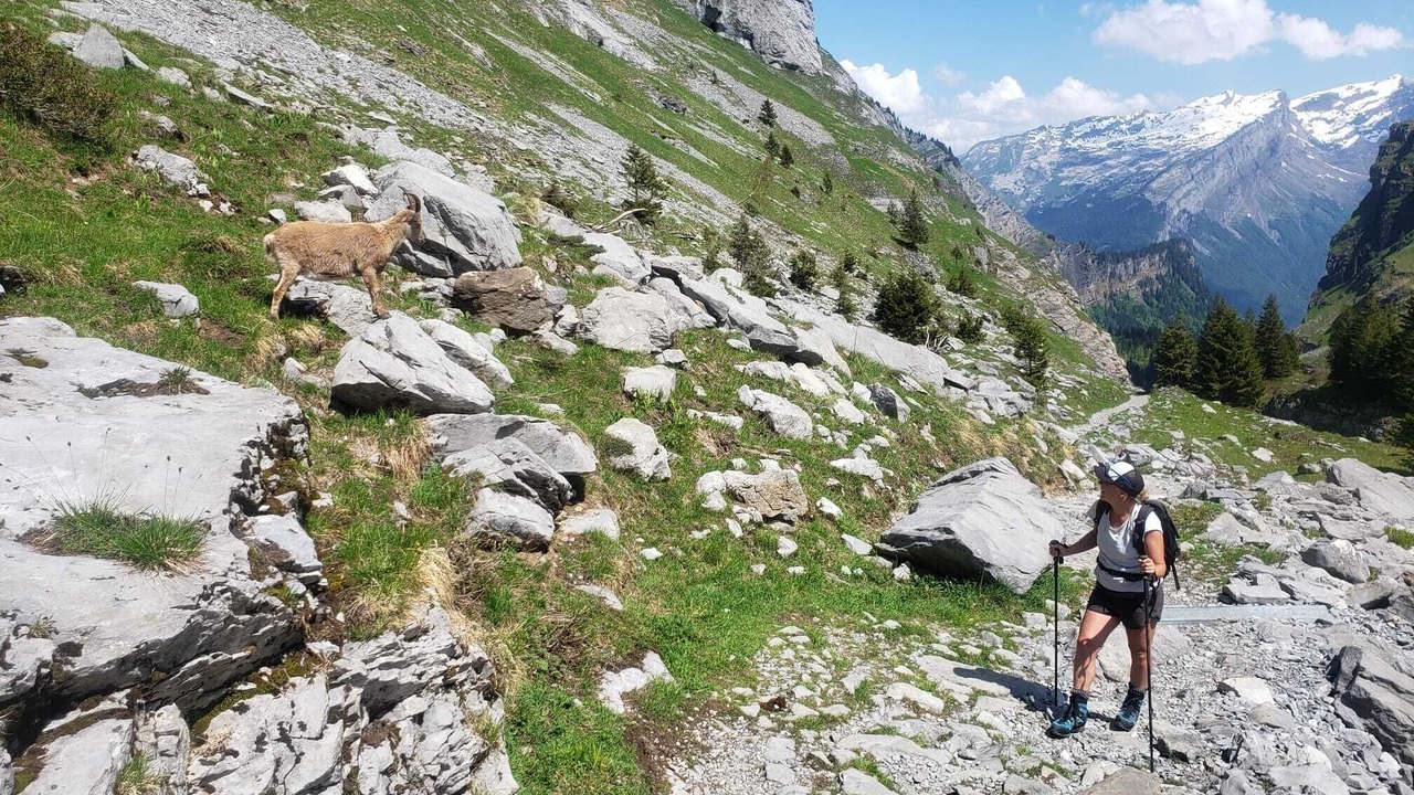 Photo of Others in Samoens