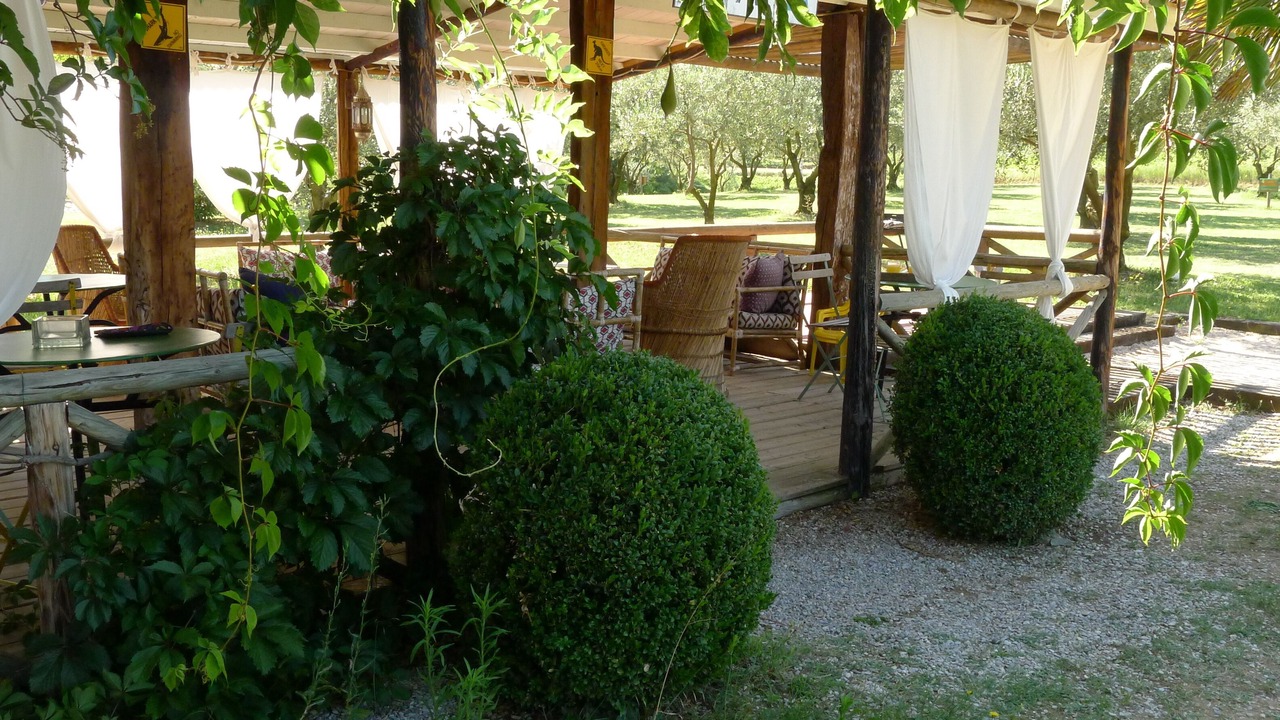 Photo of Outdoor in Piegon