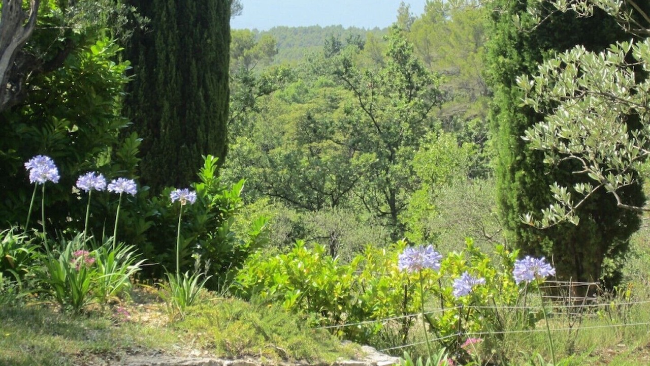 Photo of Outdoor in Seillans