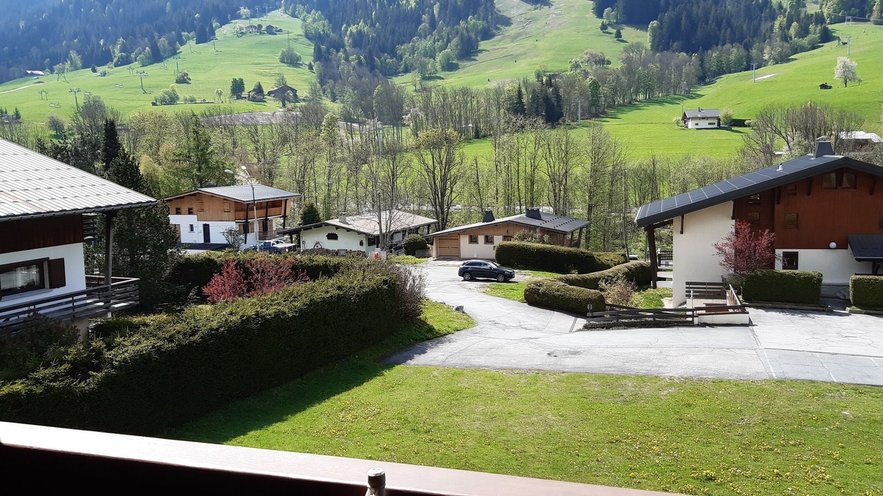 Photo of Others in Praz-sur-Arly