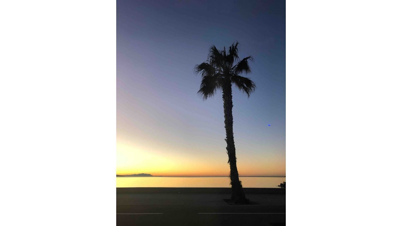 Photo of Others in La Ciotat