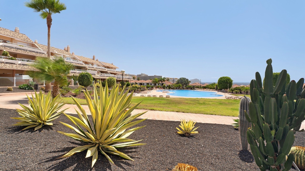 Photo of Outdoor in San Miguel de Abona