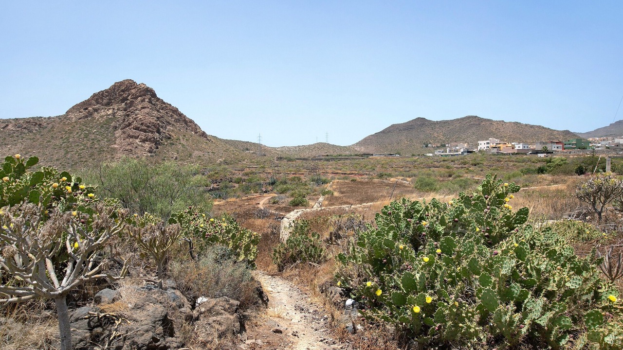 Photo of Others in Cabo Blanco