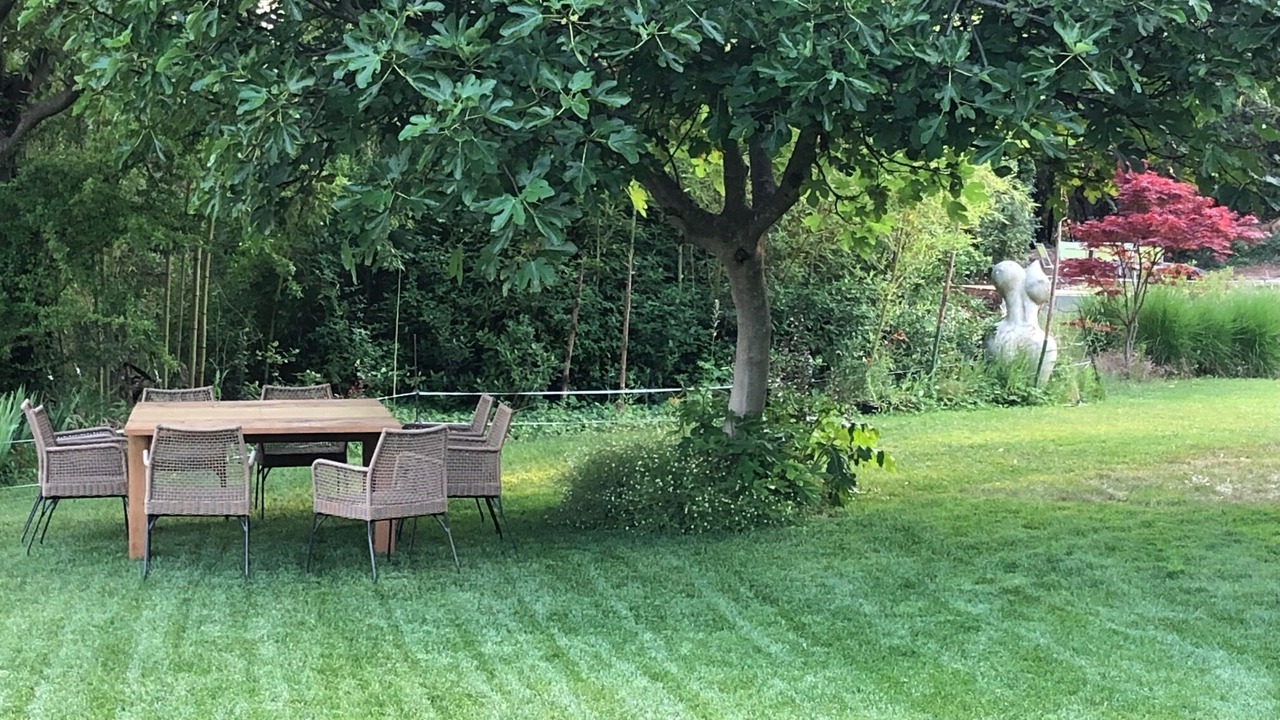 Photo of Outdoor in Trans-en-Provence