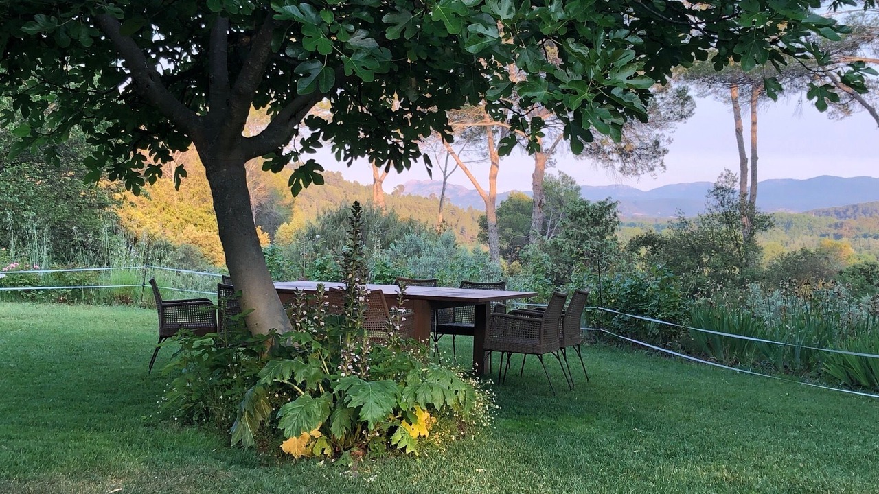 Photo of Outdoor in Trans-en-Provence