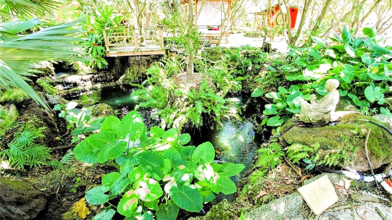 Photo of Outdoor in Homestead