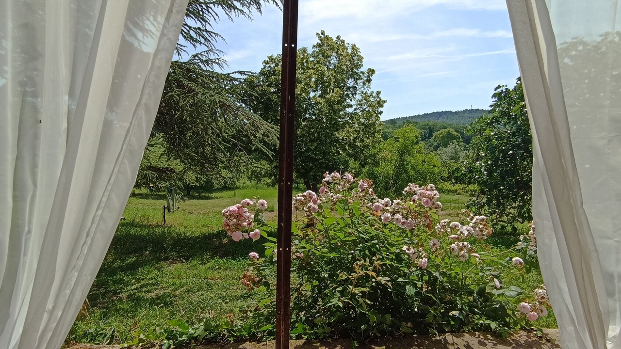 Photo of Outdoor in Lourmarin