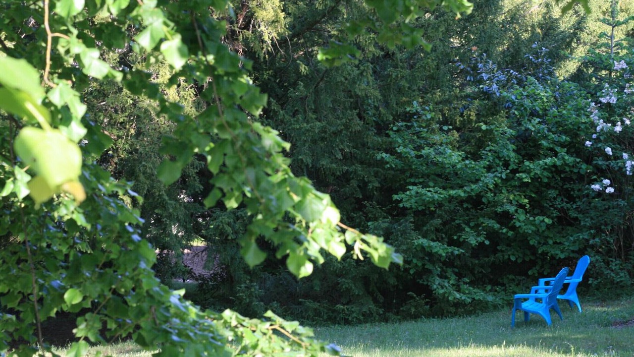 Photo of Outdoor in Arfeuilles
