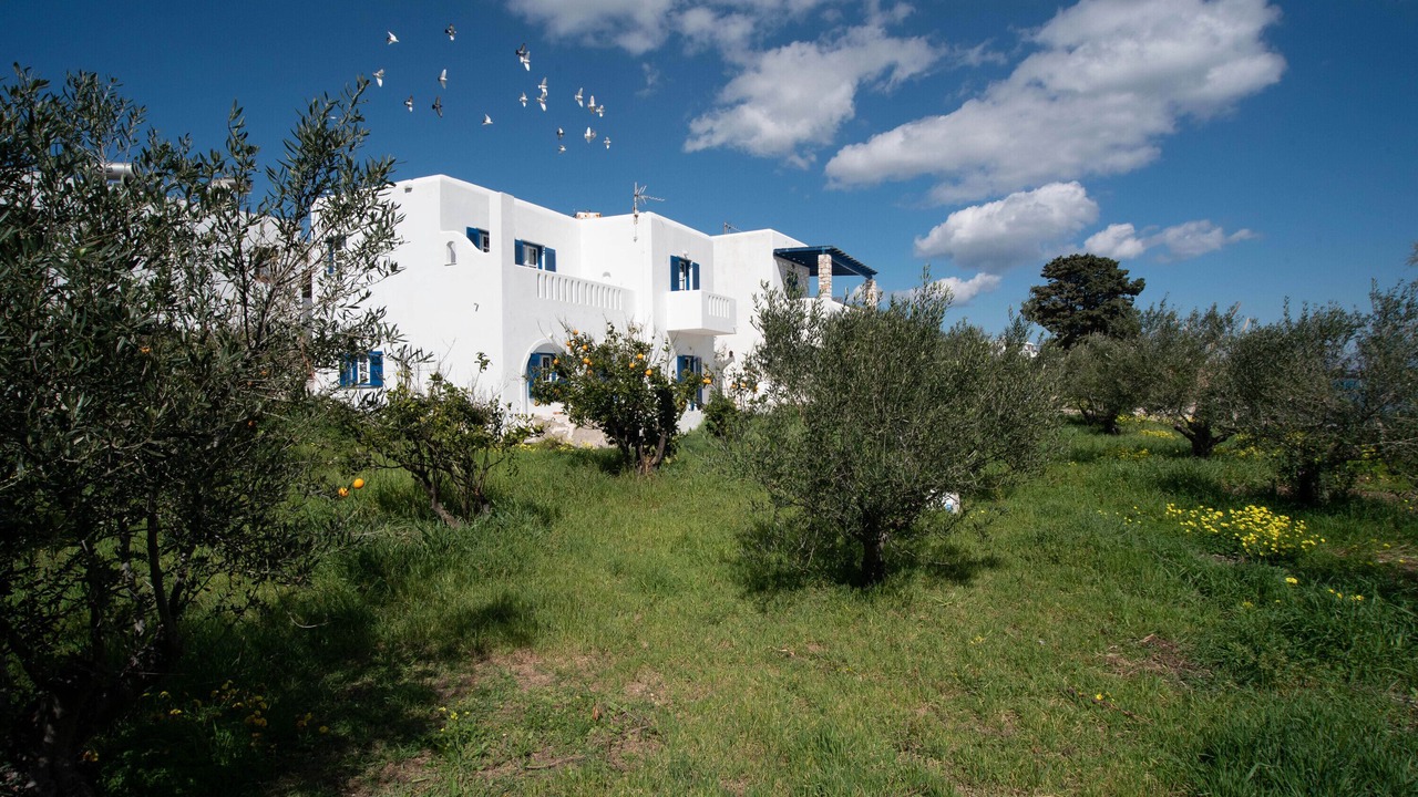 Photo of Outdoor in Drios