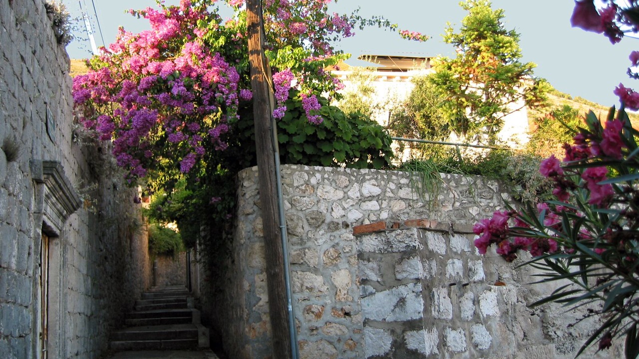 Photo of Outdoor in Gornji Kono