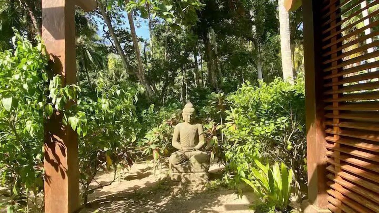 Photo of Outdoor in Rio San Juan