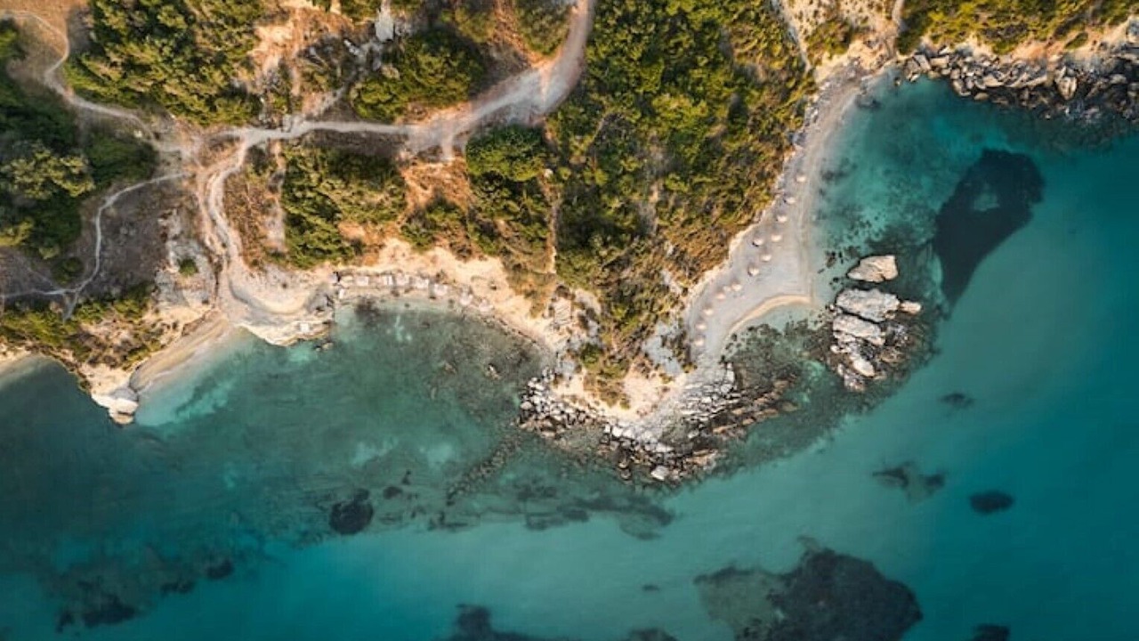 Photo of Others in Elation