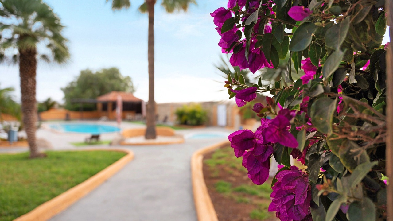 Photo of Outdoor in Las Galletas