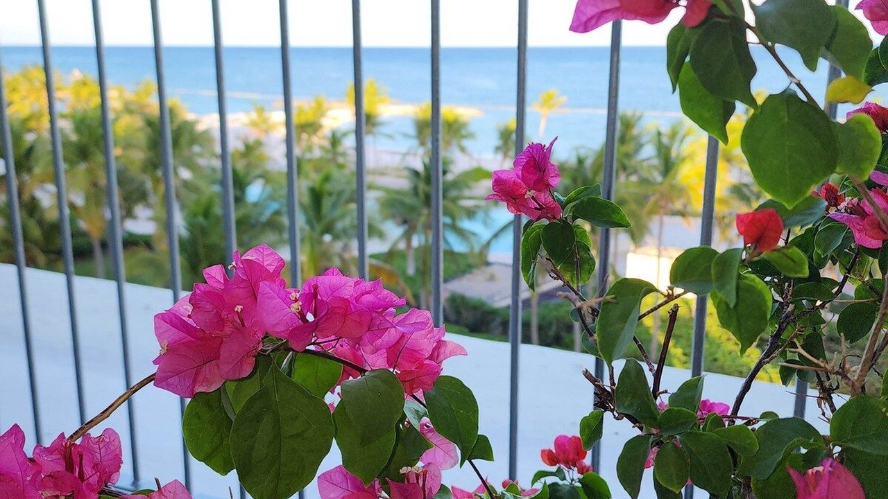 Photo of Outdoor in Cap Cana Marina