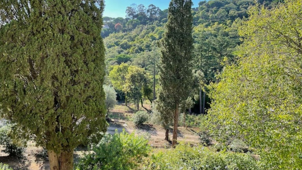 Photo of Outdoor in La Croix-Valmer