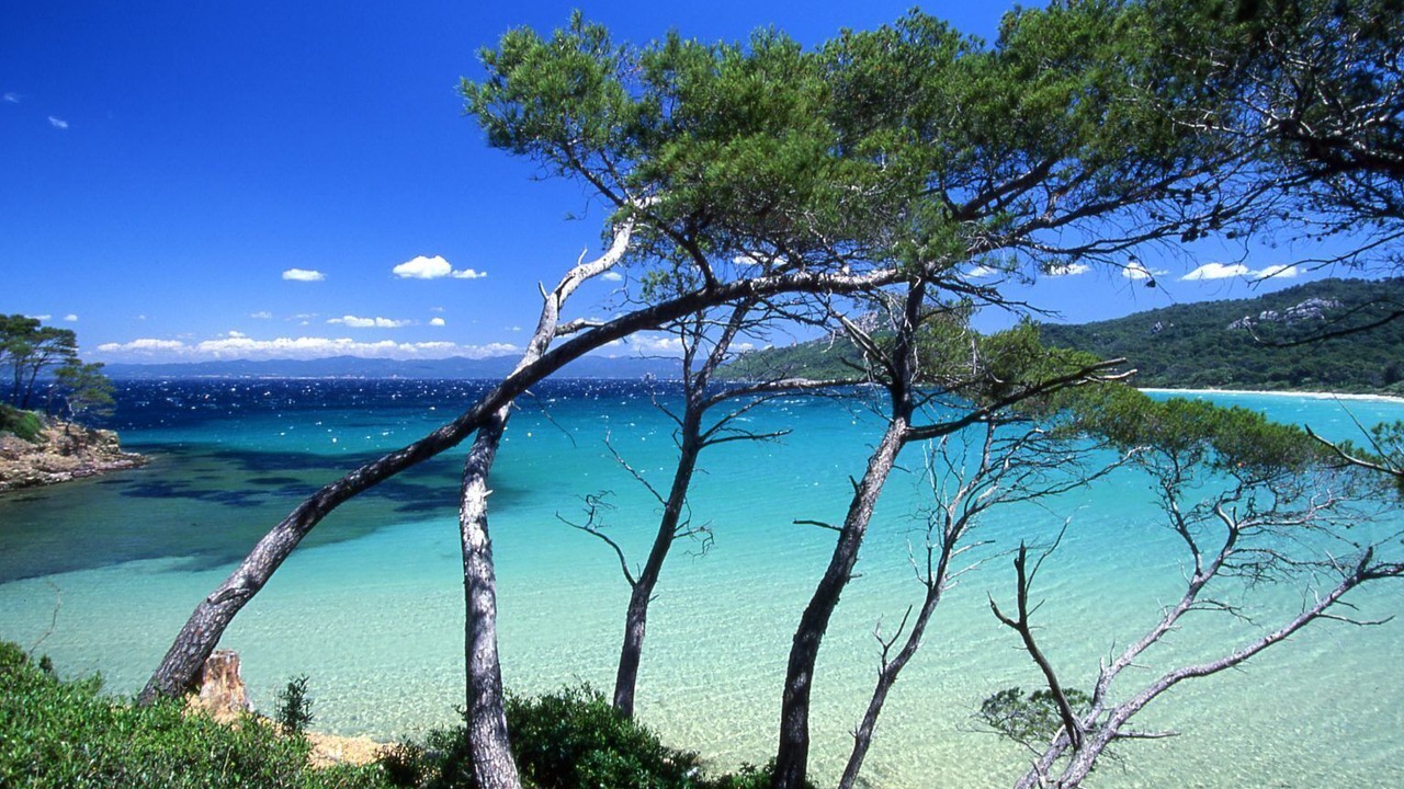 Photo of Others in Pierrefeu-du-Var
