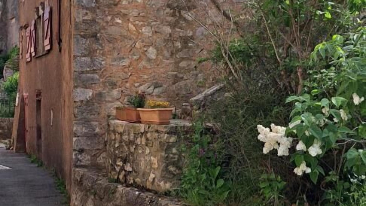 Photo of Outdoor in Fox-Amphoux