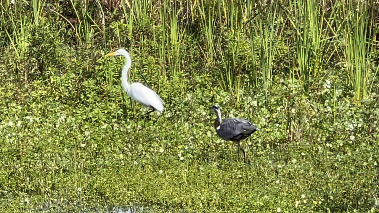 Photo of Outdoor in Lakeland