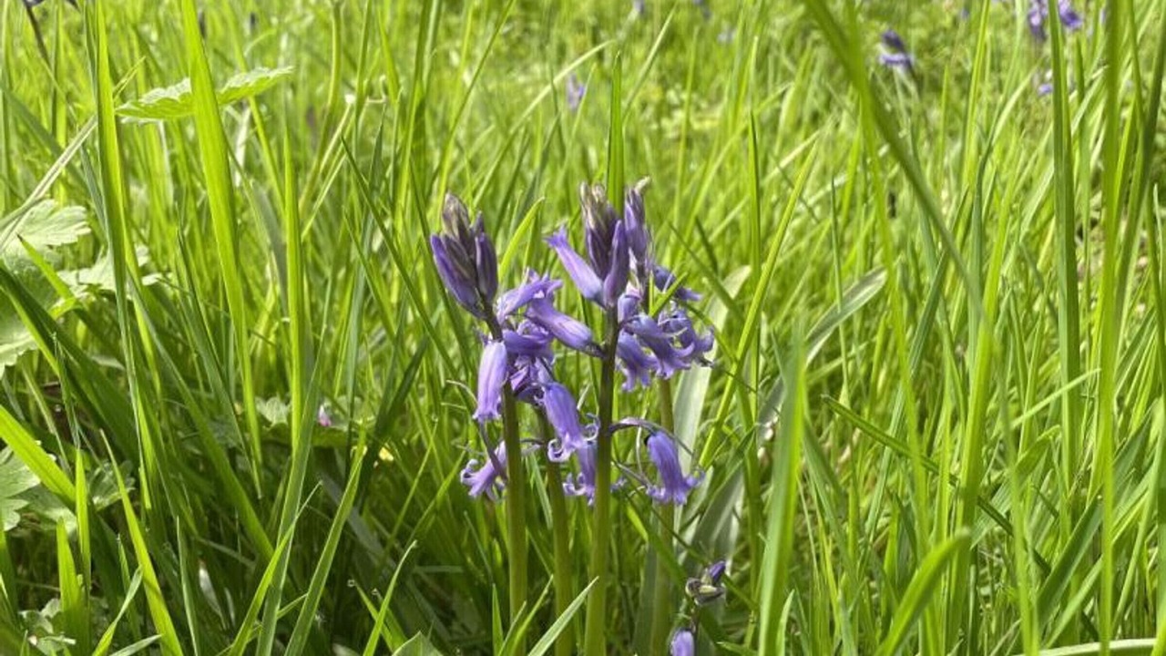 Photo of Outdoor in Saint-Bonnet-Troncais