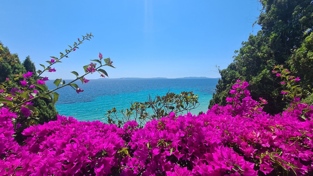 Photo of Others in Cavaliere Beach