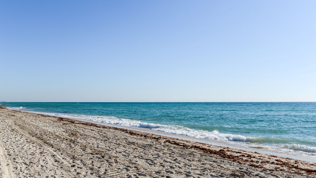 Photo of Others in South Beach