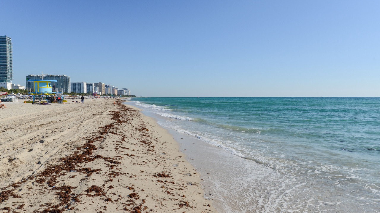 Photo of Others in South Beach