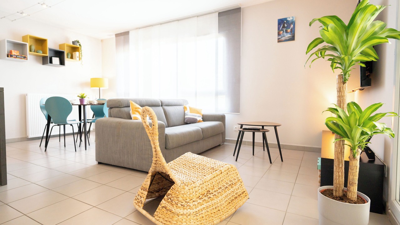 Photo of Livingroom in Leon Blum - Bon Coin