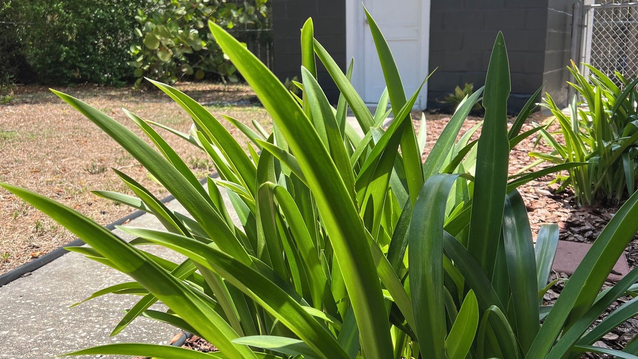 Photo of Outdoor in Lakeland