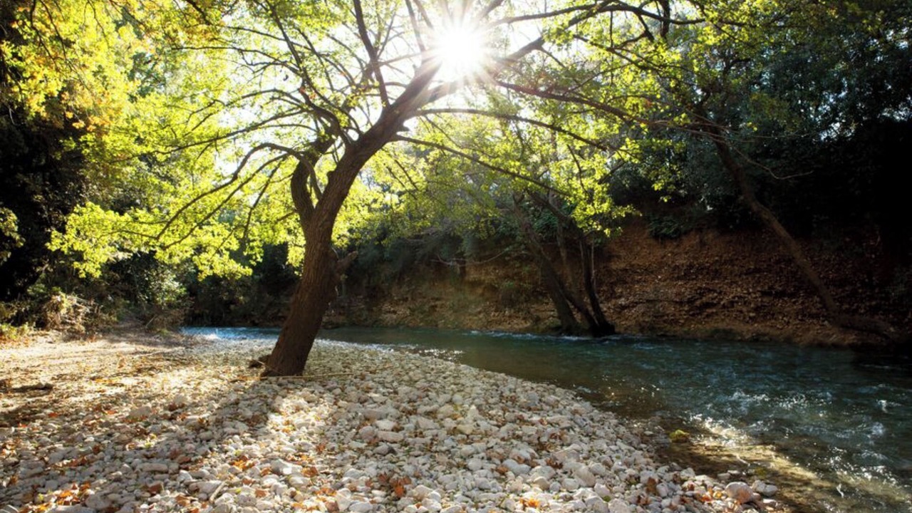 Photo of Outdoor in Sollies-Toucas