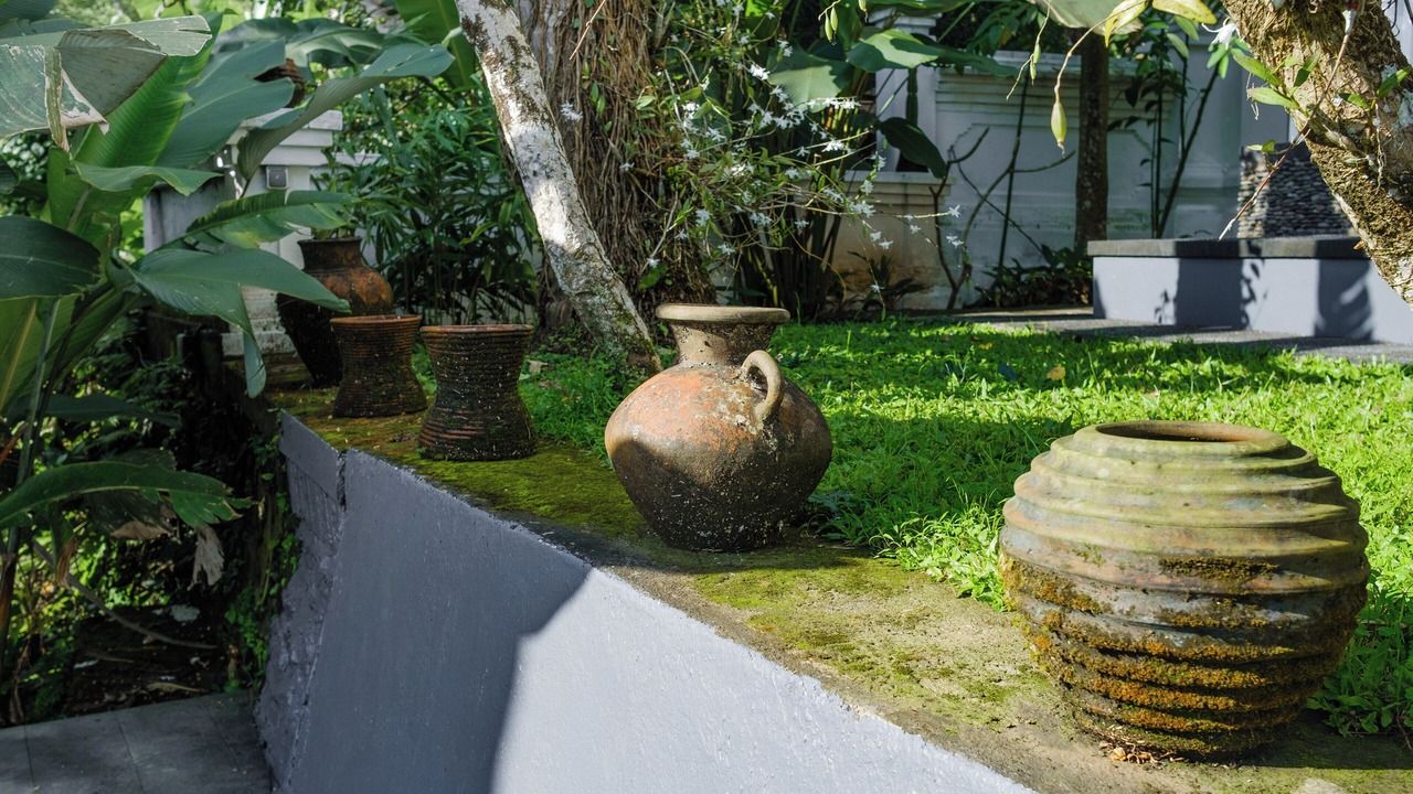 Photo of Outdoor in Kedewatan