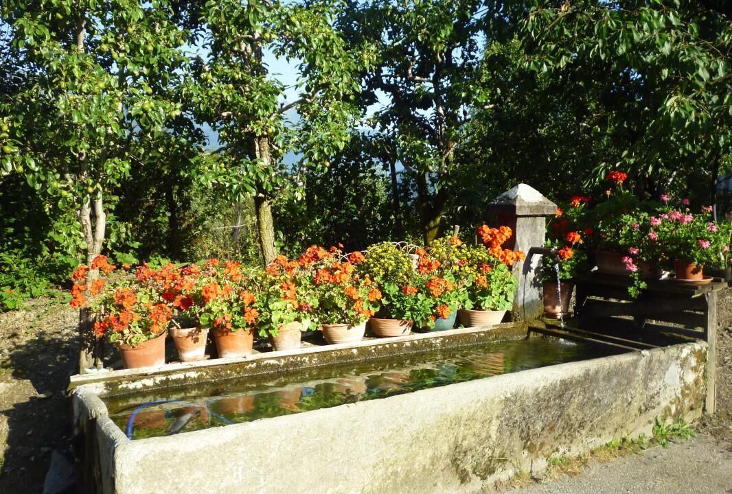 Photo of Outdoor in Pallud
