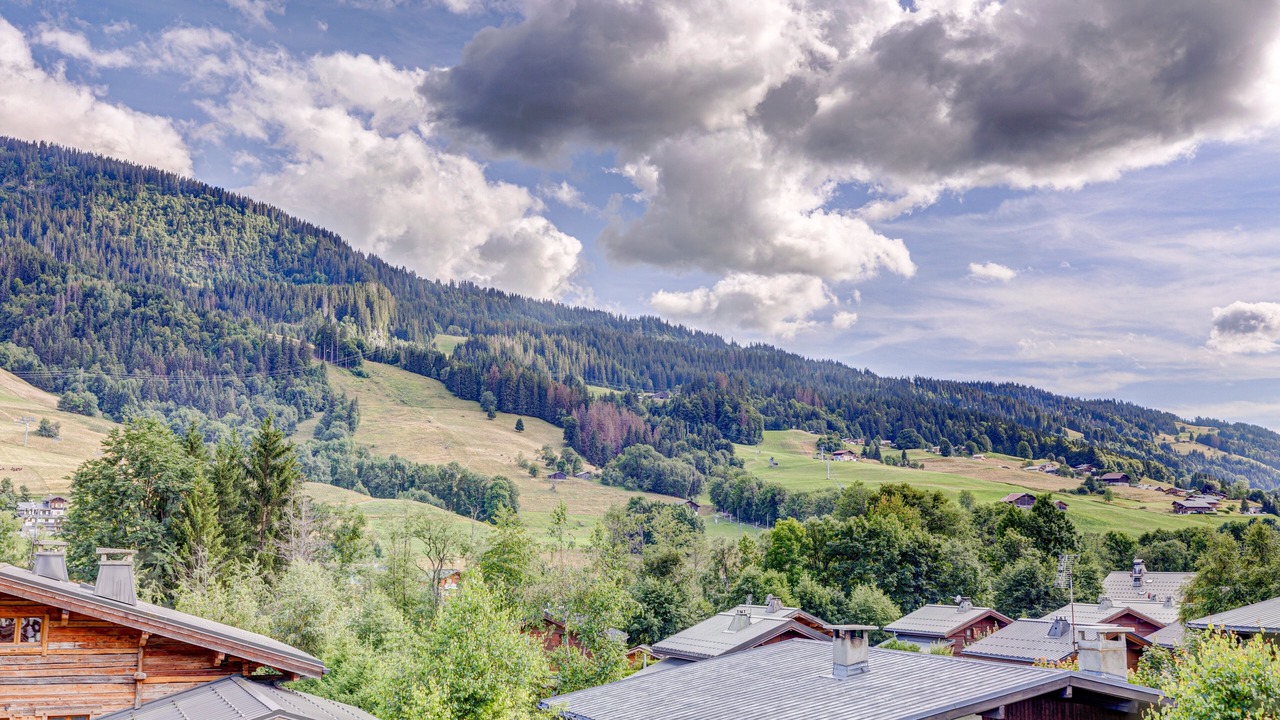 Photo of Others in Praz-sur-Arly