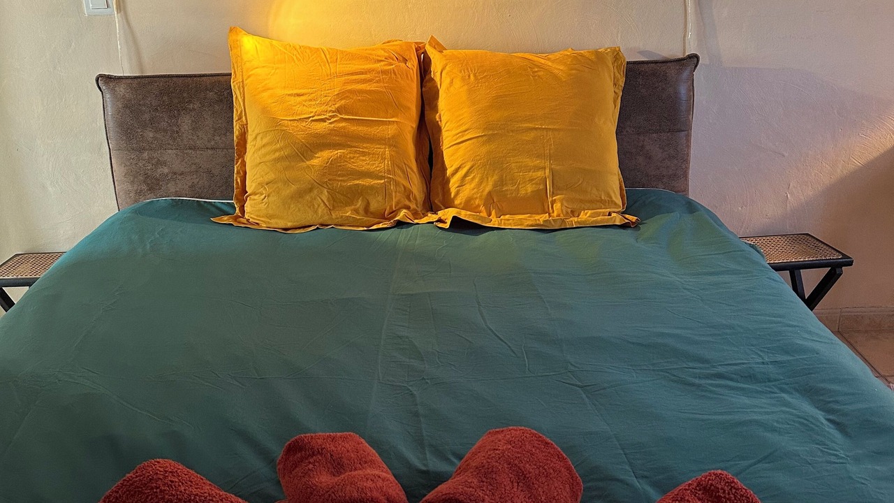 Photo of Bedroom in Villecroze