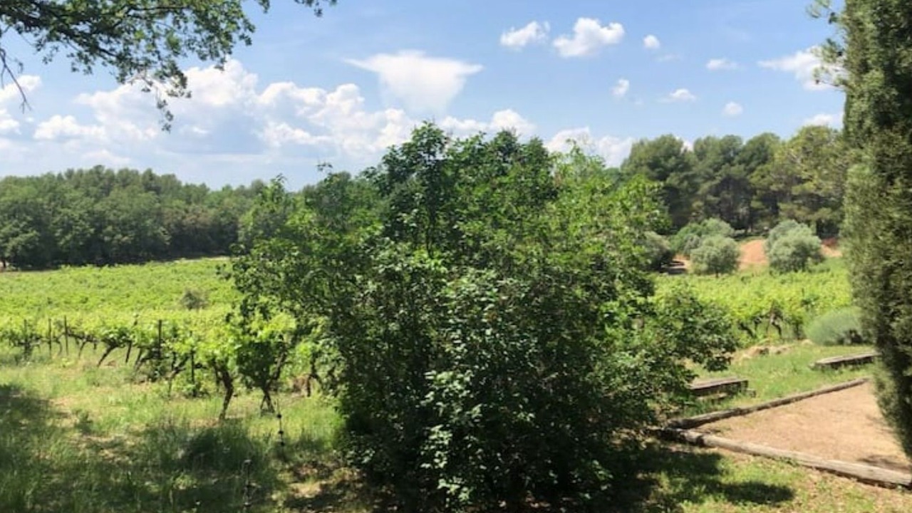 Photo of Outdoor in Flayosc