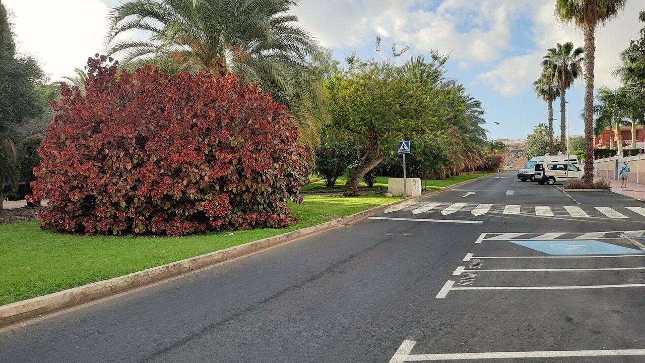 Photo of Outdoor in El Duque