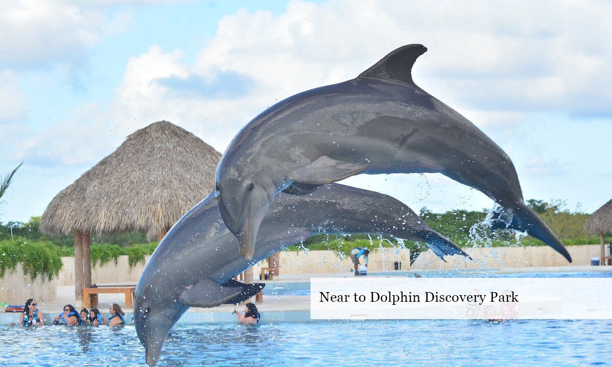 Photo of Outdoor in Punta Cana