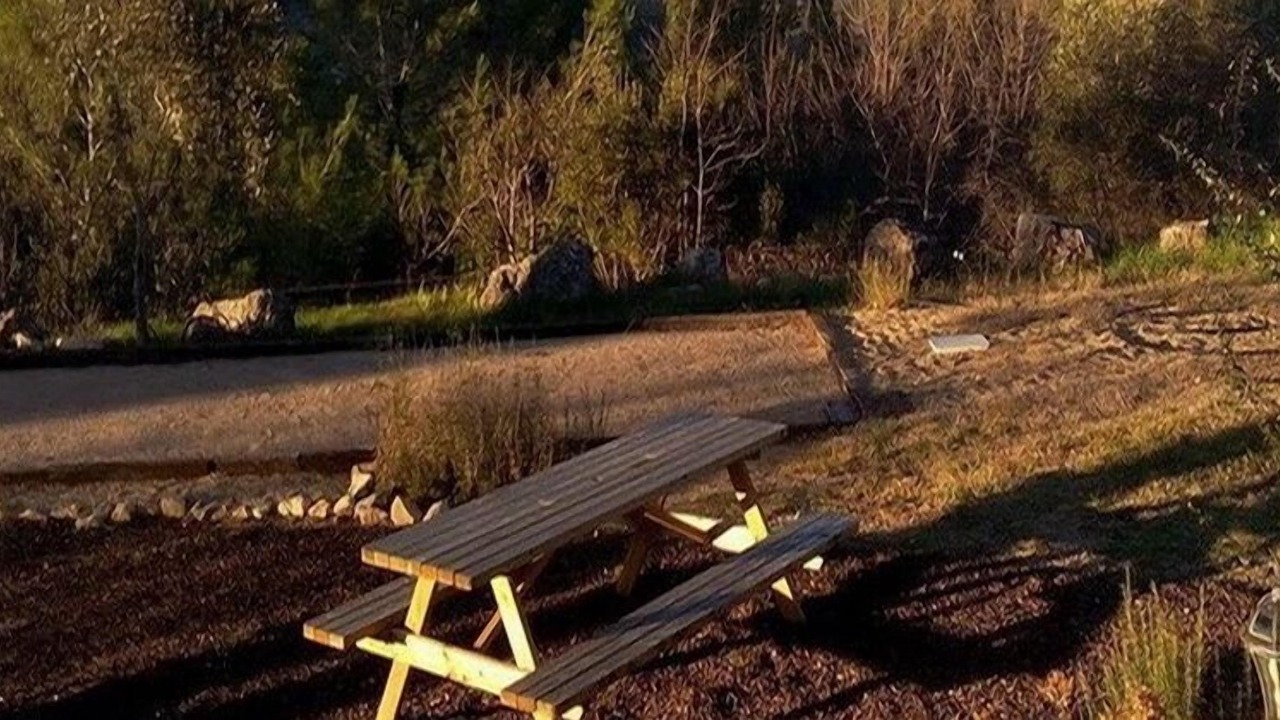 Photo of Outdoor in Taradeau